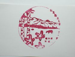 矢板