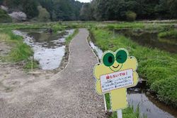 中村線　トンボ公園　水連と池にトンボ