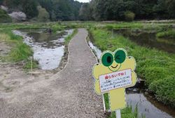 中村線　トンボ公園　水連と池にトンボ