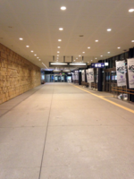 函館駅 (5)